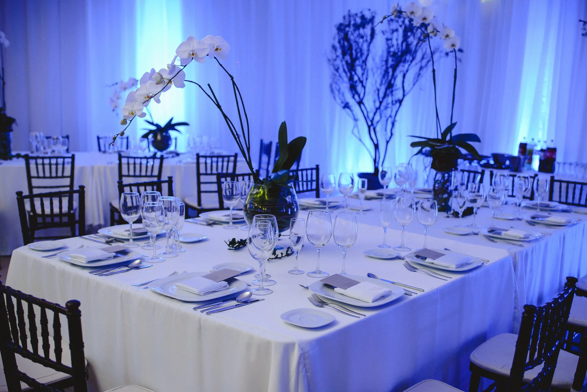 Bodas imagen 2