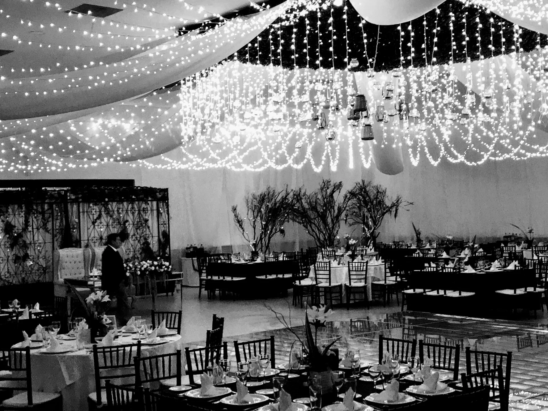 Bodas imagen 3